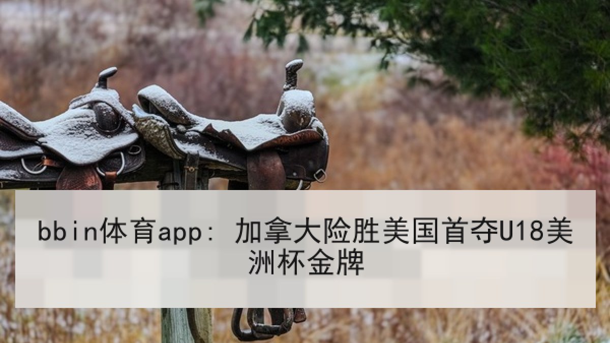 bbin体育app: 加拿大险胜美国首夺U18美洲杯金牌 bbin体育app: 加拿大险胜美国首夺U18美洲杯金牌