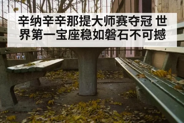 辛纳辛辛那提大师赛夺冠 世界第一宝座稳如磐石不可撼