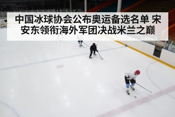 ice hockey rink